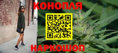 прущие грибы Тула
